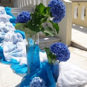 Στολισμός γάμου-σκάλες Ορτανσία